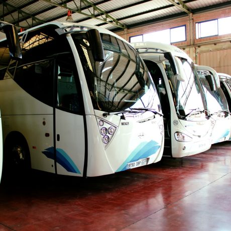 Autobuses Agostense (2)